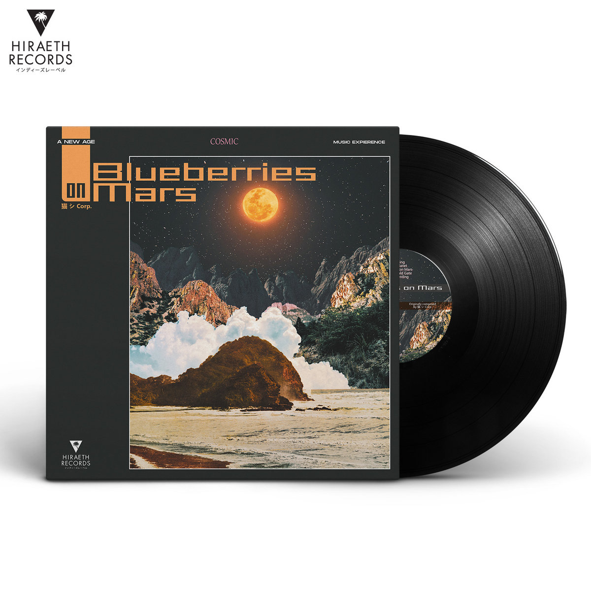 Blueberries on Mars | 猫 シ Corp. | Hiraeth Records