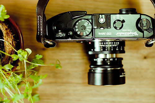 フォクトレンダー ベッサ R2M 250周年記念モデル （Voigtländer BESSA