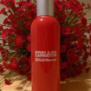 Comme des Garcons Series 2 Red: Carnation Comme des Garcons