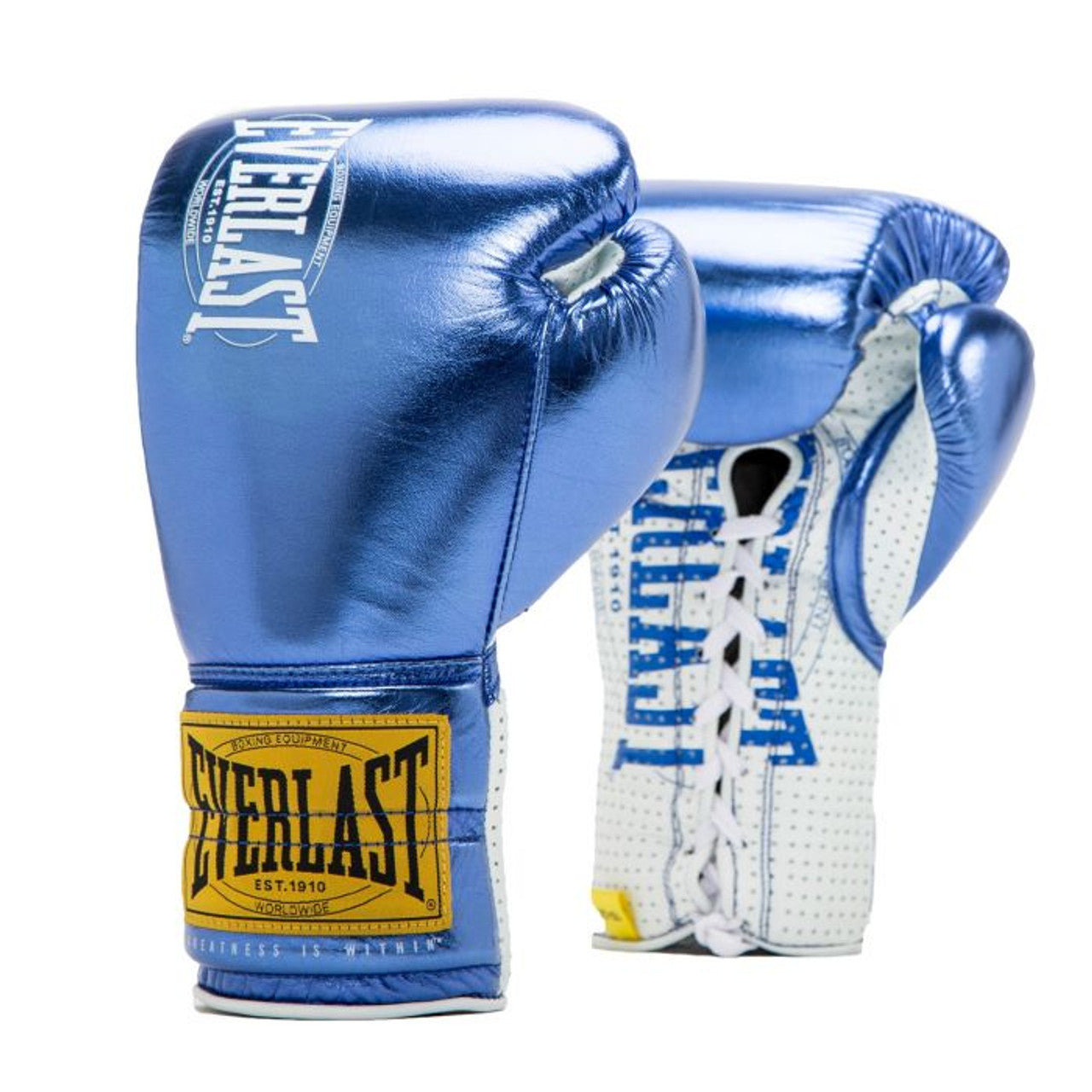 Everlast 1910 Classic Fight Gloves – FIGHT 2 FINISH