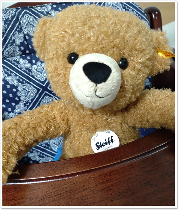 シュタイフ テディベア 1906 レプリカ 70cm EAN404405