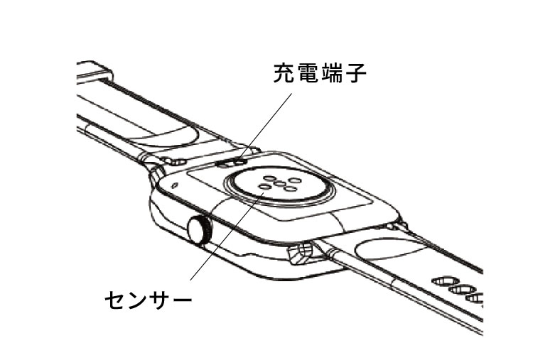 z146-3｜Future Model