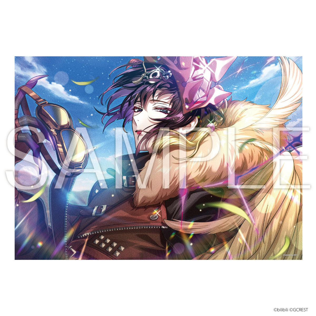 夢職人と忘れじの黒い妖精 Wild Illegal Race B2布ポスター