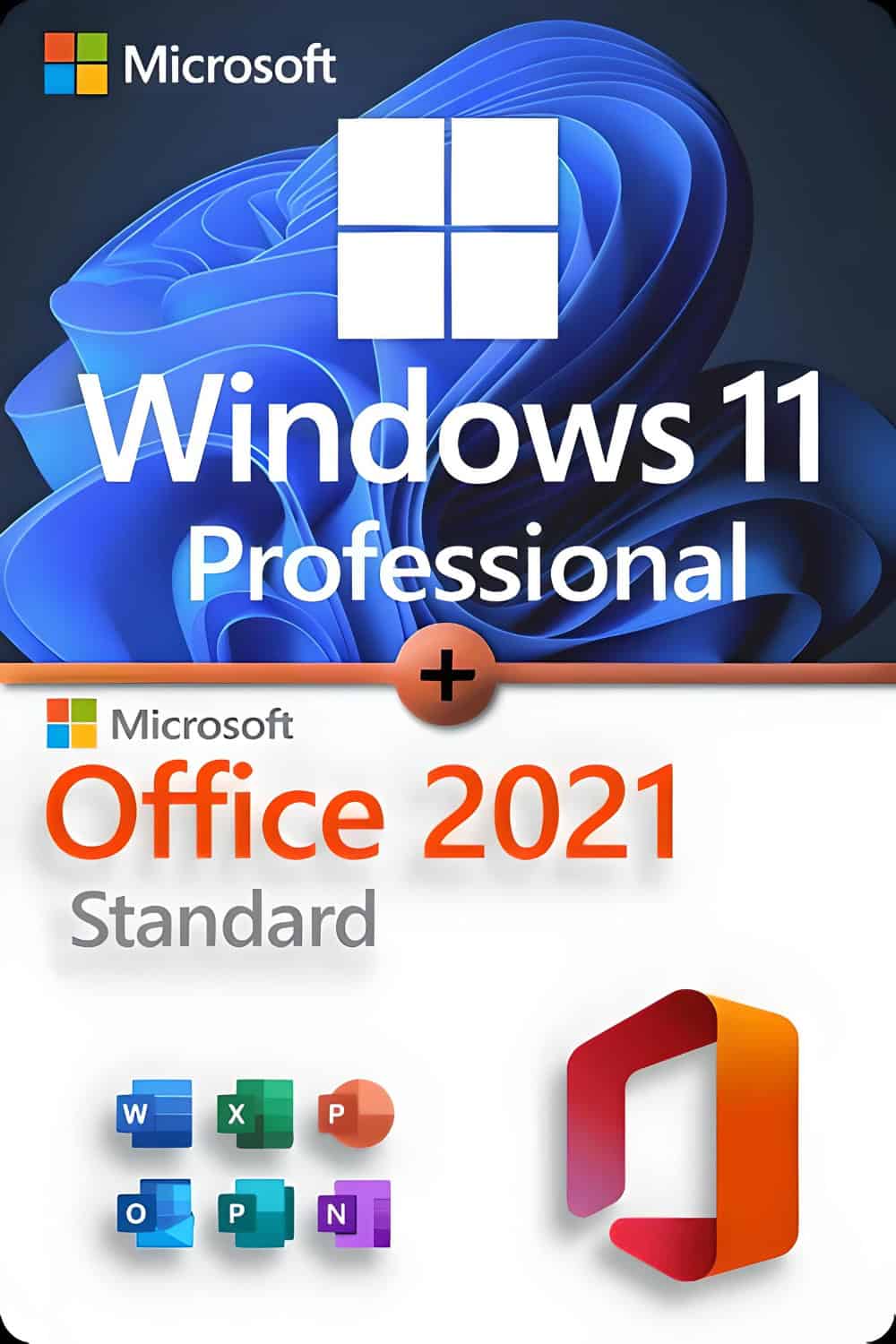 Microsoft Windows 11 Professional + Microsoft Office 2021 Standard