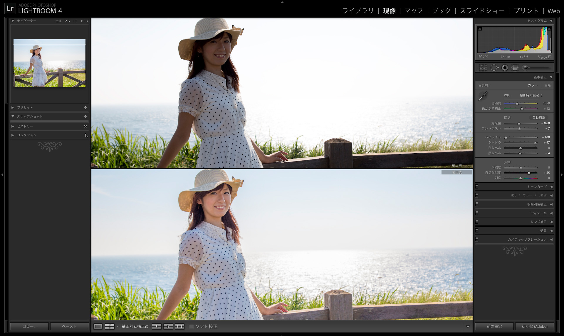 究極の写真編集ソフト「Adobe Photoshop Lightroom 4」