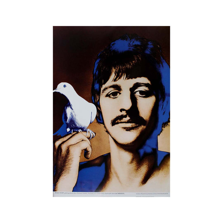 Ringo Starr - The Beatles 1967, Avedon Richard, Affiche originale