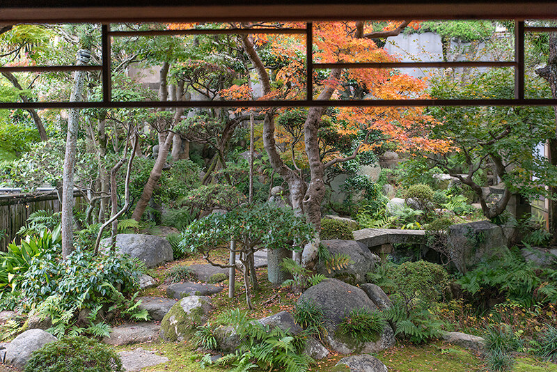 西爽亭 数寄屋風の書院から露地を眺める -庭園ガイド