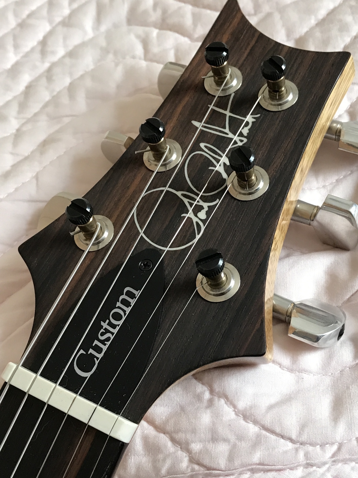 15年製PRSのトラスロッドカバーを変えてみた。: 『G』-Life