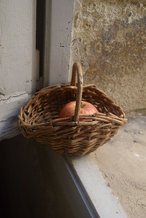 蚤の市*農民のシャンピニオン・野草パニエ 美品 | インテリア | | Trio