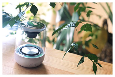 エクサ・レインボー ゼロ（EXA-Rainbow 0） 2個セット｜トータルヘルス