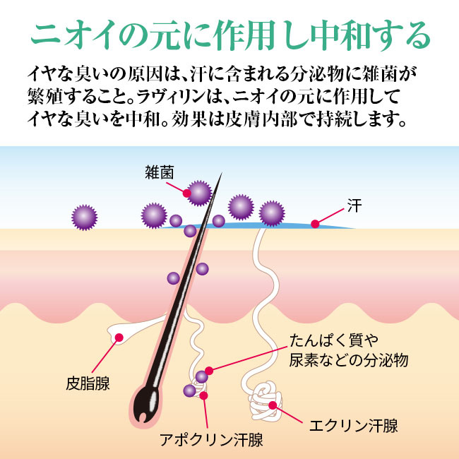 薬用デオドラントクリーム ラヴィリン よりどり2個【通常