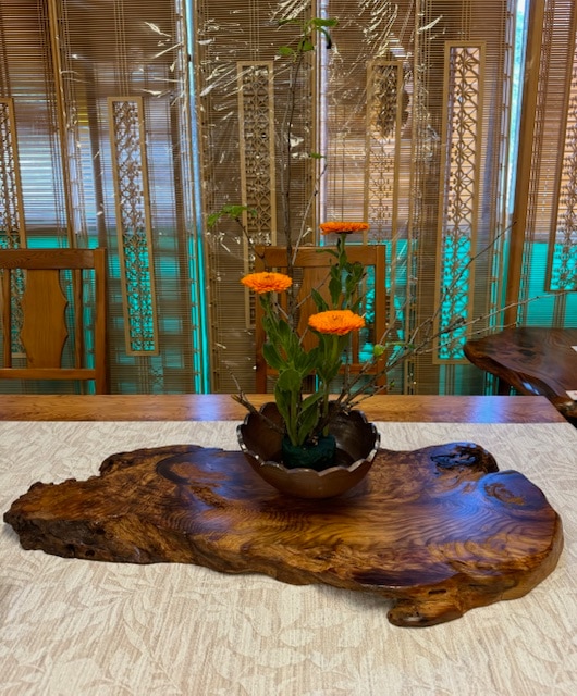 屋久杉自然花台553 | 屋久杉花台 | 屋久杉堂