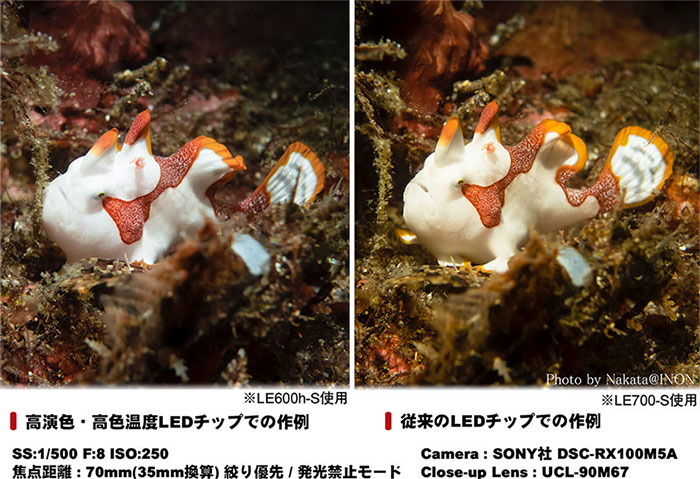 LE330h | 水中ライト,LEDライト | イノンオンラインショップ