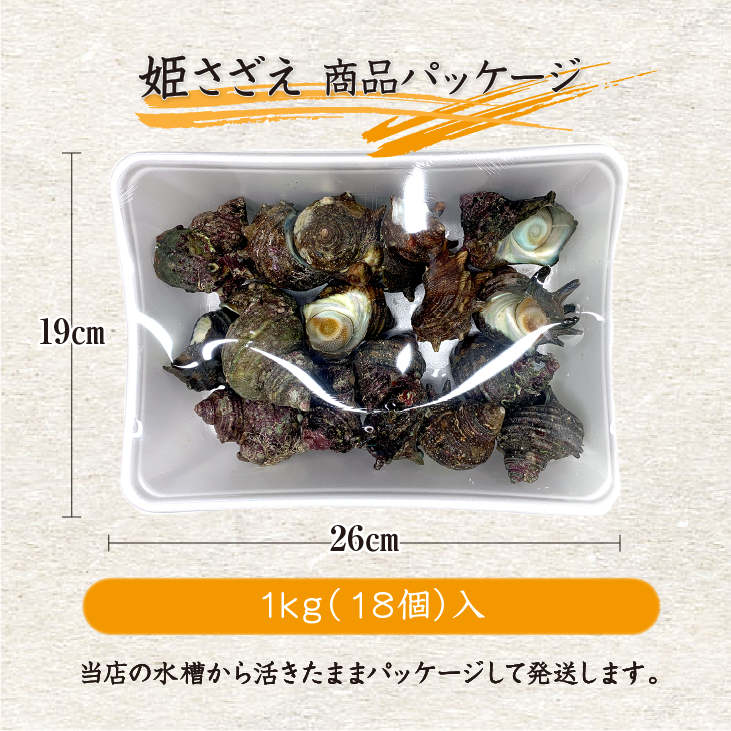天然活 姫さざえ 少々サイズ 1kg 18個 40～60g [さざえ] | 貝類