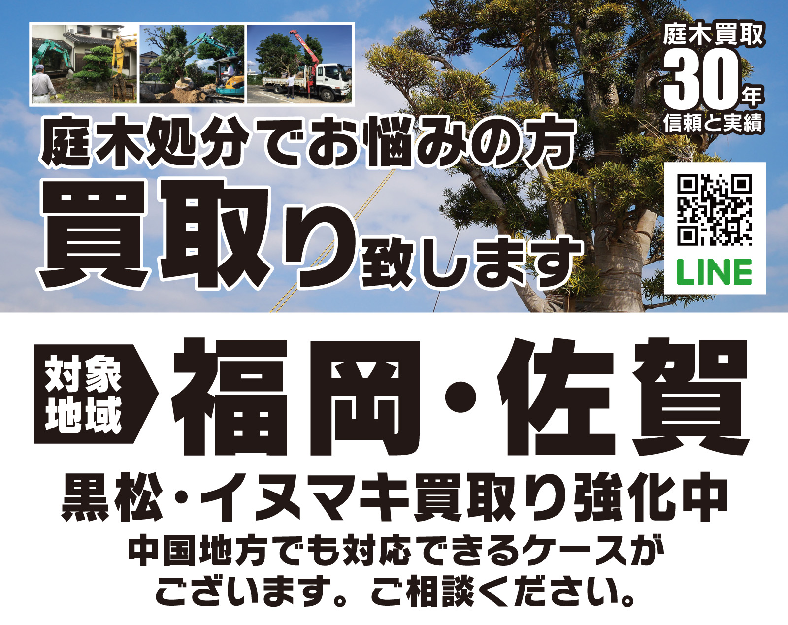 庭木、庭石、盆栽、灯篭、不要品買取り | グリーンライフジャパン