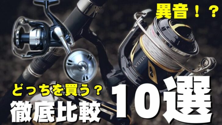 比較】ステラSWとツインパワーSWどっちを買う？異音や不具合はあるの