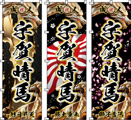 成人式幟.卒業式のぼり旗☆名入れ旗.名前のぼり☆体育祭.応援旗