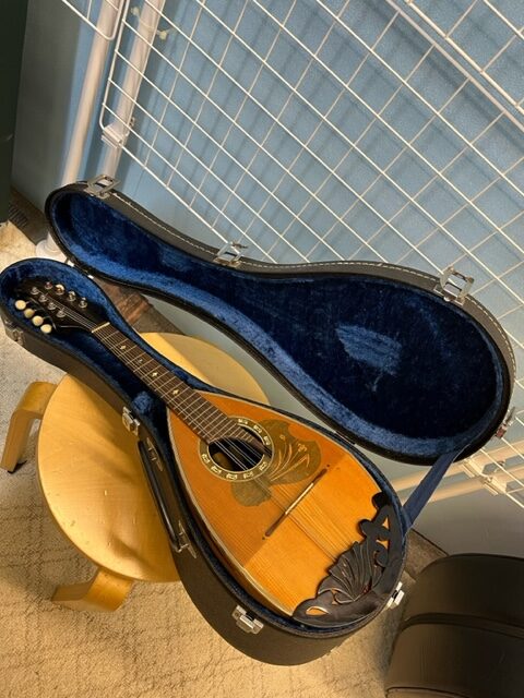 楽器情報】中古マンドリン入荷しました Suzuki Mandolin No.6 – ハタ楽器