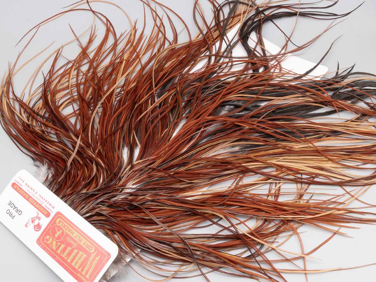 Whiting Rooster Saddle Cape | ホワイティング ルースター サドルケープ