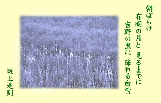 百人一首/坂上是則(さかのうえのこれのり)