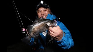 EVERGREEN（エバーグリーン インターナショナル） - SPRS-76MH-S