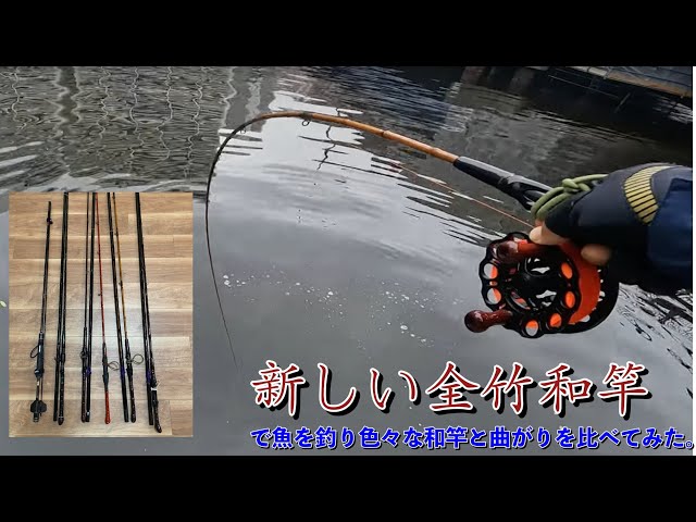 ヘチ釣り] 新しい全竹和竿を作ってもらい、その曲がりを魚を釣って比較