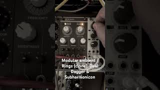 Shakmat Dual Dagger - Eurorack Module on ModularGrid