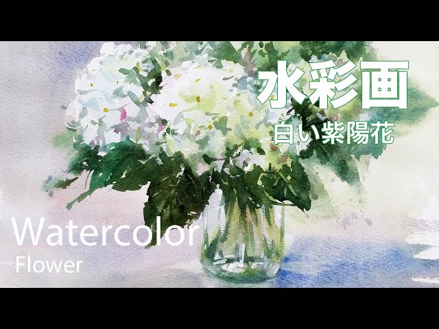 Watercolor Painting White Hydrangea - 白い紫陽花を描く 水彩画