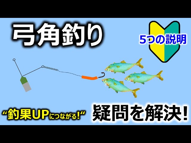 釣り方】弓角釣り疑問解決！～5つの説明～ ショアジグより釣れる