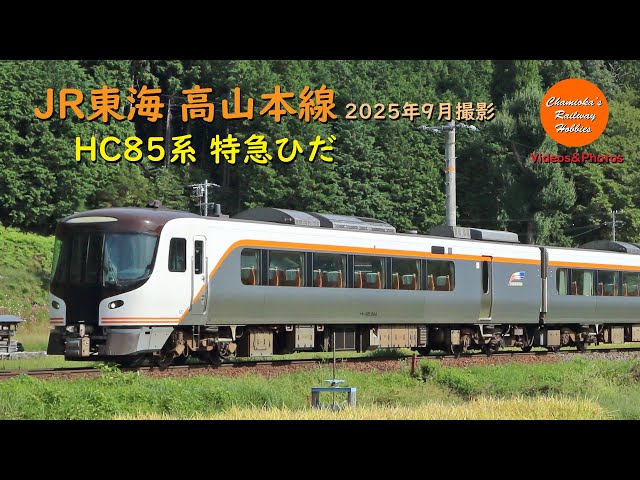 JR東海 高山本線 HC85系 特急｢ひだ｣（2025年9月撮影）-Railway Videos
