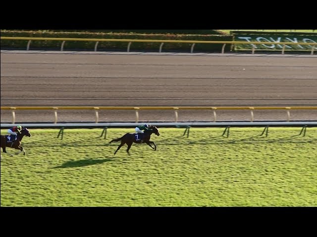 1996年朝日杯3歳ステークス マイネルマックス - YouTube