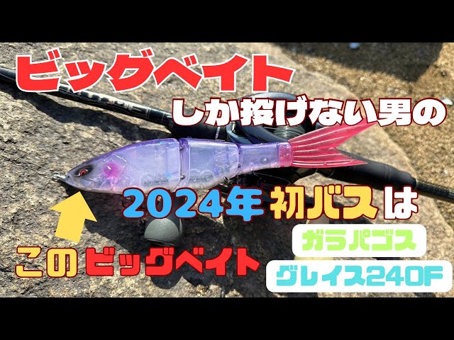 ビッグベイトしか投げない男の2024年初バスはこのビッグベイト