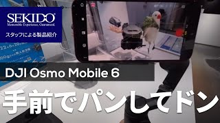 DJI Osmo Mobile 6 の使い方を紹介！初心者向けマニュアルを公開します