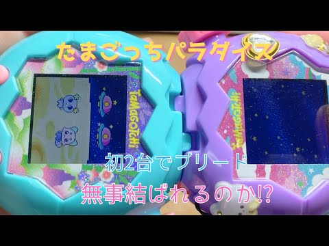 Tamagotchi Paradise] Try breeding with two Tamagotchis! Can you