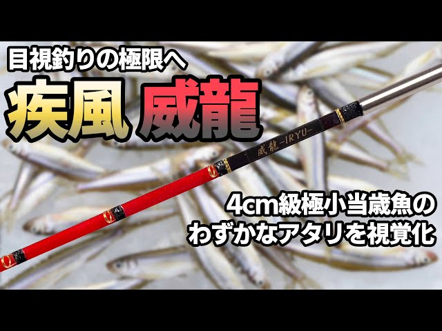 目視釣りの極限へ】疾風 威龍 手元極調子【ワカサギ穂先実釣動画