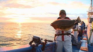 187 Winter is the best time for big flounder fishing - Aiming for