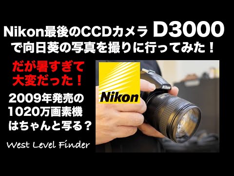 Nikon最後のCCDカメラ】D3000で写真を撮る！2009年発売の1000万画素