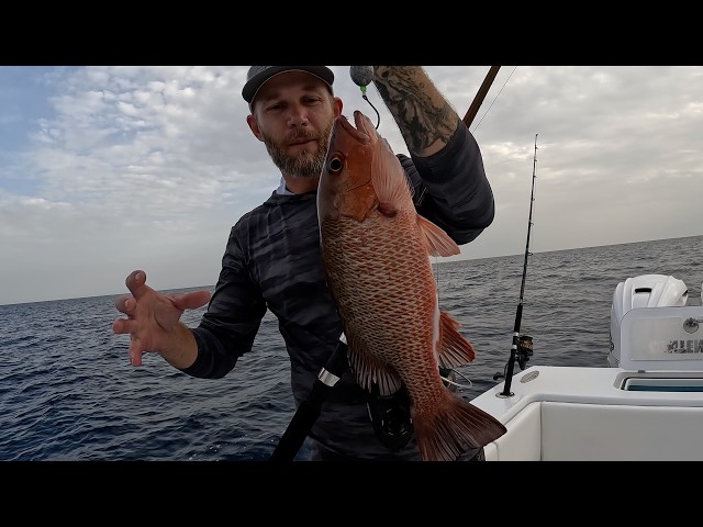 FISHING THE KNOCKER RIG!! Catching Mangrove Snapper and Bait for