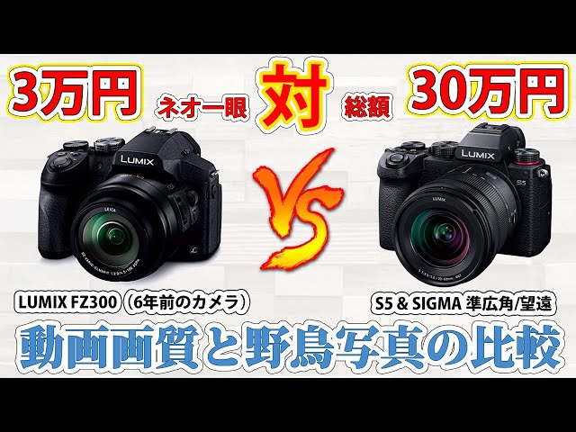 30,000 vs. ¥300,000! Comparing video quality and bird photography