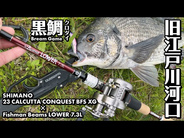 クロダイ】Fishman Beams LOWER 7.3L ✕ SHIMANO 23 CALCUTTA CONQUEST