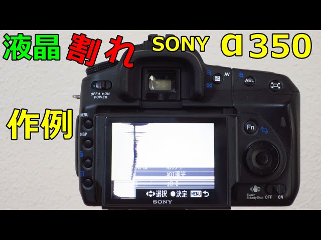ジャンク】2200円 SONY A350買ったら液晶割れてた 動作検証・作例動画
