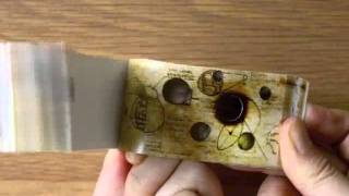 パラパラブックス：本・絵本：百町森