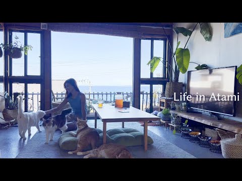 83 人生の軌道修正｜ネコと私のつれづれ日記📕 - YouTube