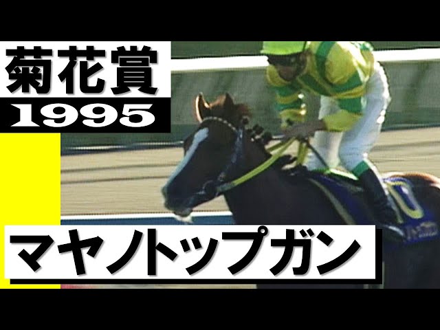 神戸は強い！今年は神戸だ」マヤノトップガン【菊花賞1995】 - YouTube
