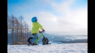 STRIDER：ストライダー｜スノーストライダー：スキーアタッチメント