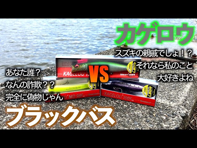 シーバス界の大人気ルアー、カゲロウでブラックバスを釣る！！（バス