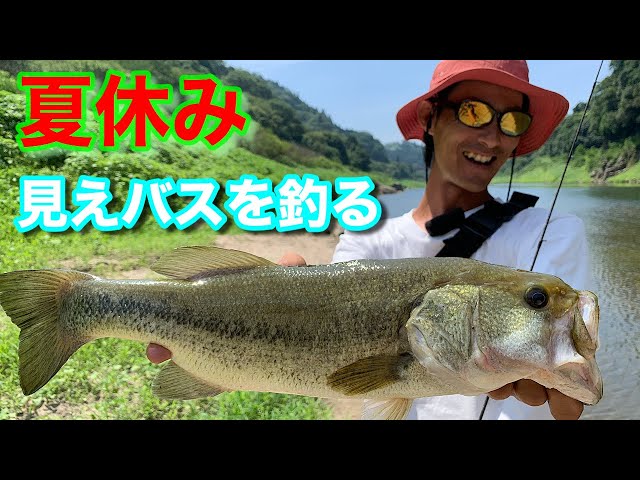 Sight Fishing] Experience the summer vacation atmosphere by