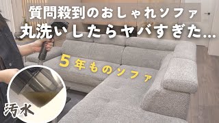 Deep cleaning a 5-year-old sofa! The heated rinser cleaner removed