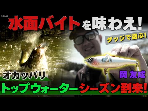RAIDJAPAN] Play DODGE!! A water-surface jumping game!! [Tomonari
