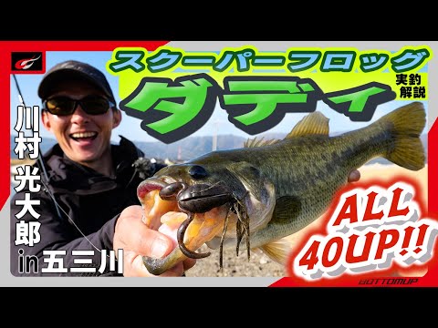 ScooperFrogDaddy(スクーパーフロッグダディ) – Bottomup(ボトムアップ